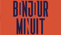 BONJOUR MINUIT - ST BRIEUC
