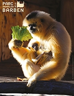 Book the best tickets for Zoo De La Barben - Parc Animalier De La Barben - From 31 December 2021 to 31 December 2026 Book the best tickets for Zoo De La Barben - Parc Animalier De La Barben - From 31 December 2021 to 31 December 2026
