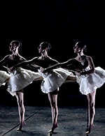 Réservez les meilleures places pour Le Lac Des Cygnes – Ballet Preljocaj - Malraux Scene Nationale - Du 26 avr. 2023 au 27 avr. 2023