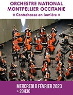 Book the best tickets for Contrebasse En Lumiere - Theatre Municipal Jean Alary -  Feb 8, 2023