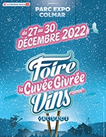 Book the best tickets for Feder - Synapson - Halle Aux Vins - Parc Expo - From 29 December 2022 to 30 December 2022