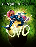 Book the best tickets for Cirque Du Soleil - Zenith Toulouse Metropole - From December 7, 2023 to December 10, 2023
