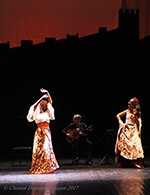 Réservez les meilleures places pour Carmen Flamenco - Espace Andre Lejeune - Le 13 octobre 2023