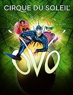 Book the best tickets for Cirque Du Soleil - Zenith De Lille - From March 7, 2024 to March 10, 2024
