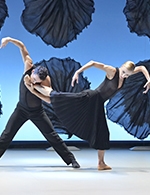 Réservez les meilleures places pour Malandain Ballet Biarritz: Les Saisons - Opera Royal - Du 19 novembre 2025 au 20 novembre 2025