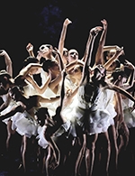 Réservez les meilleures places pour Ballet Preljocaj : Le Lac Des Cygnes - Opera Royal - Du 3 février 2026 au 7 février 2026