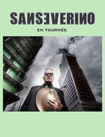 Book the best tickets for Sanseverino - Mac Robert Lieb - Espace Paul-kauss -  February 2, 2024
